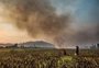 Após incêndios, Parque da Serra do Tabuleiro será monitorado por câmeras, diz Instituto do Meio Ambiente