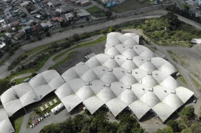 Festa da Uva 2019, Uva, Destemperados, Caxias do Sul