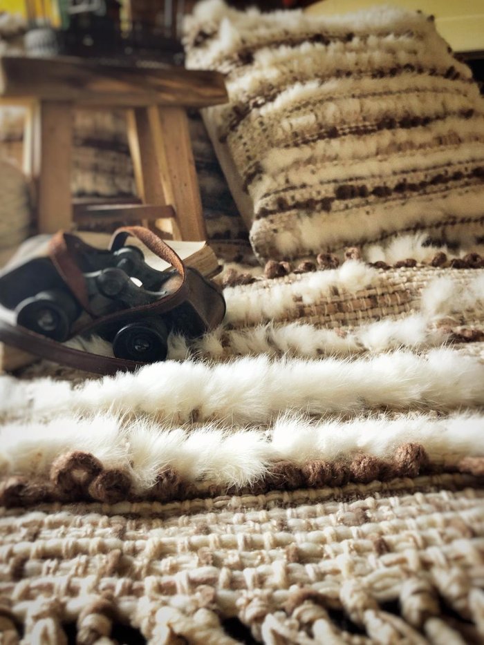 divulgação / Divulgação