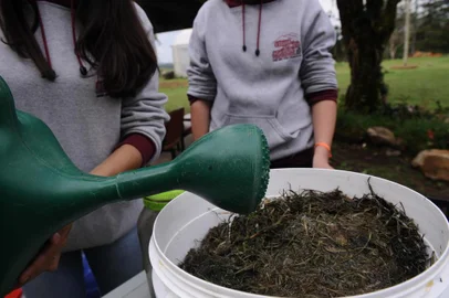 CAXIAS DO SUL, RS, BRASIL (19/09/2019)Estudantes da Escola Família Agrícola da Serra (Efaserra) criaram um modelo de composteira para compostagem urbana. O projeto será apresentado na Feira Ecológica de Caxias do Sul.A ação é coordenada pela professora Heloísa Camello, dentro da disciplina de agroecologia e ecossistemas, produção vegetal e solos e adubação.Os estudantes participantes: Renata Lozz, 15, de Boa Vista do Sul; Eduardo Klein, 16, Feliz; e Flávia Bernardi Rankrappes, 16, de Caxias do Sul. (Antonio Valiente/Agência RBS)
