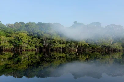 de Beruri à Manacapuru de barcoMANAUS, AM, 26/08/2019Ensaio para contra capa de terça:  Série de imagens da amazônia.Cidade de BeruriÁreas ainda preservadas na Amazônia(Lucas Amorelli/Agência RBS)Editoria: POL