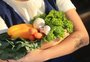 Cinco mitos sobre a alimentação vegetariana