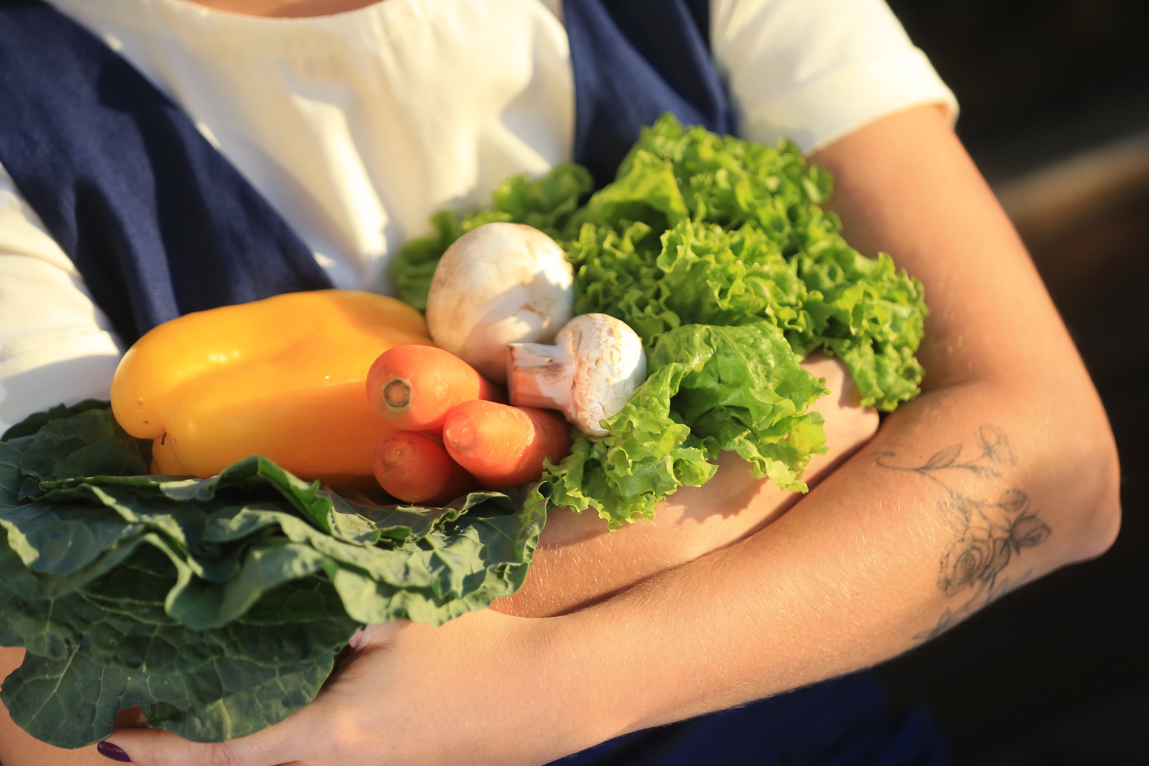 A alimentação vegetariana na infância é, além de possível, completa e  saudável