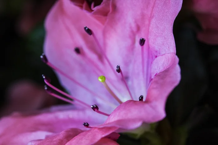 Jefferson Botega / Agência RBS