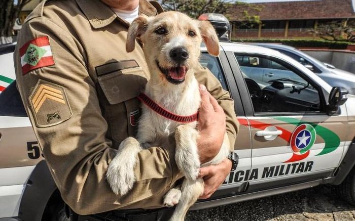 Divulgação / Polícia Militar