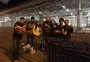 Dia na frente do hotel e noite na fila da Arena: como foi a espera dos fãs do Iron Maiden na Capital