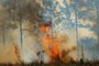  PALHOÇA, SC, BRASIL, 11/09/2019: Bombeiros realizam uma força-tarefa para controlar o incêndio que atinge o Parque Estadual da Serra do Tabuleiro, na Grande Florianópolis, desde terça-feira (10). O fogo, que dura mais de 24 horas, já consumiu cerca de 2,5 mil metros quadrados de área de vegetação.(Foto: Gabriel Lain/Diário Catarinense)