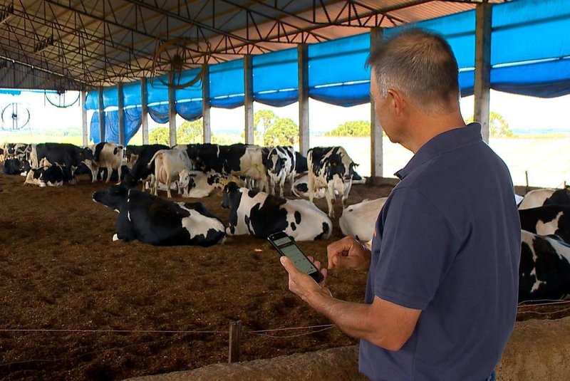 Nédio Genario é criador de gado. Aparece em reportagem do Te Mostra, Rio Grande.