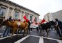Por que vacas foram parar no Piratini