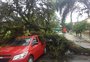 Árvore cai, atinge carro e bloqueia rua na zona norte de Porto Alegre