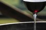  LAGES, SC, BRASIL 02/02/2016 SUA VIDA: Colheita da Uva, produção de vinhos de altitude na serra catarinense. FOTO RICARDO WOLFFENBÜTTEL / AGÊNCIA RBS.