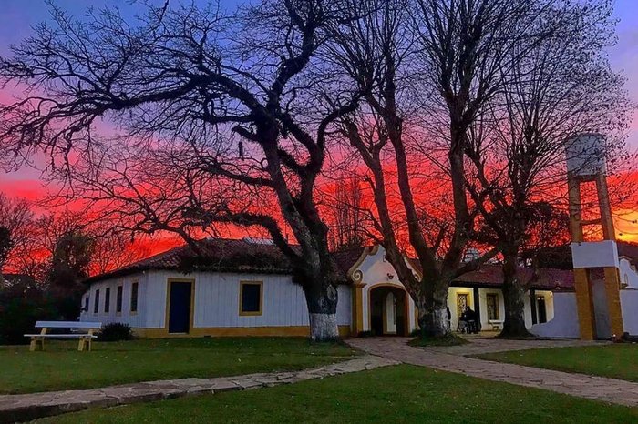 Camila De Rossi / Divulgação