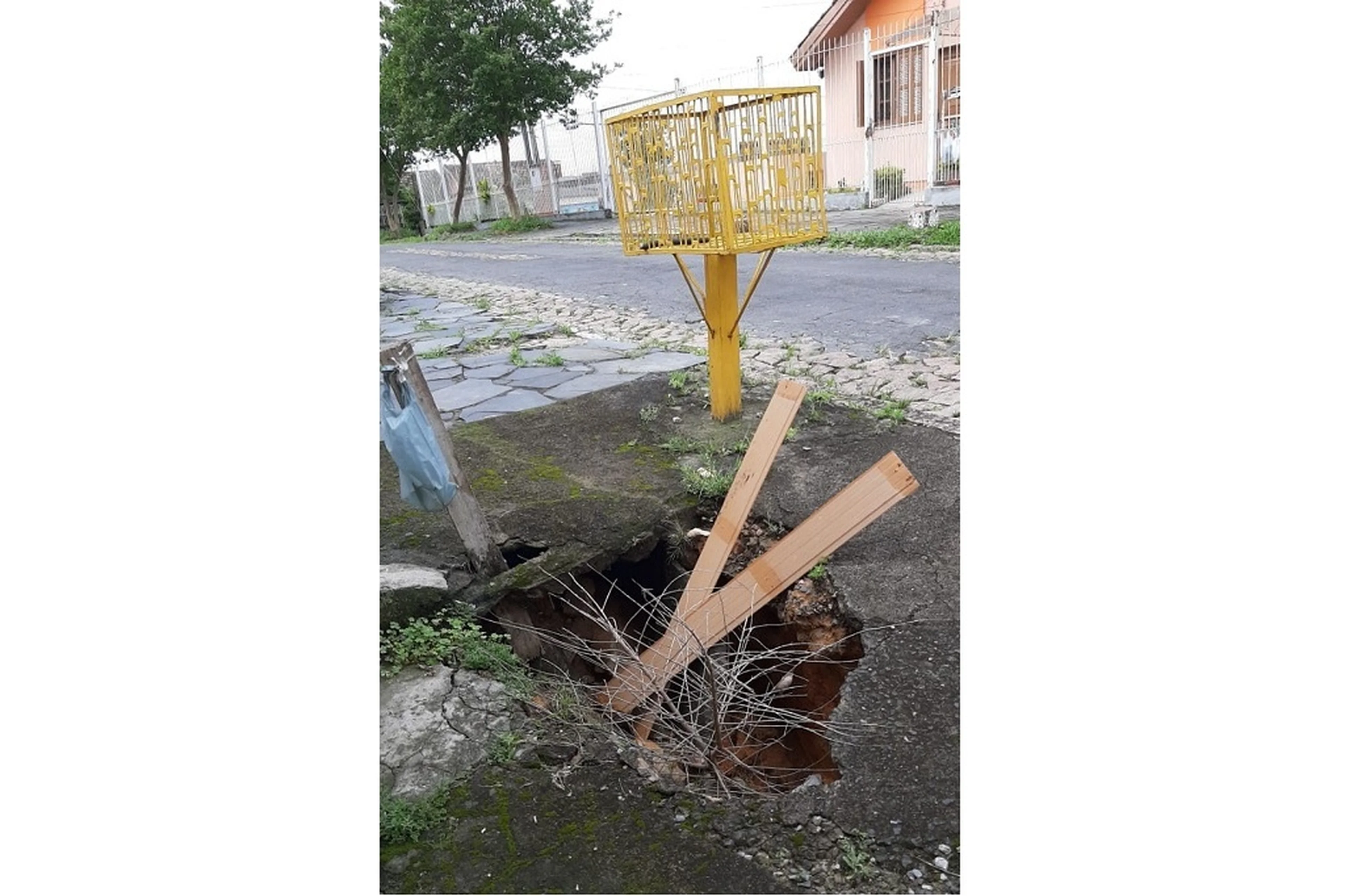 LeitorDG/Arquivo Pessoal