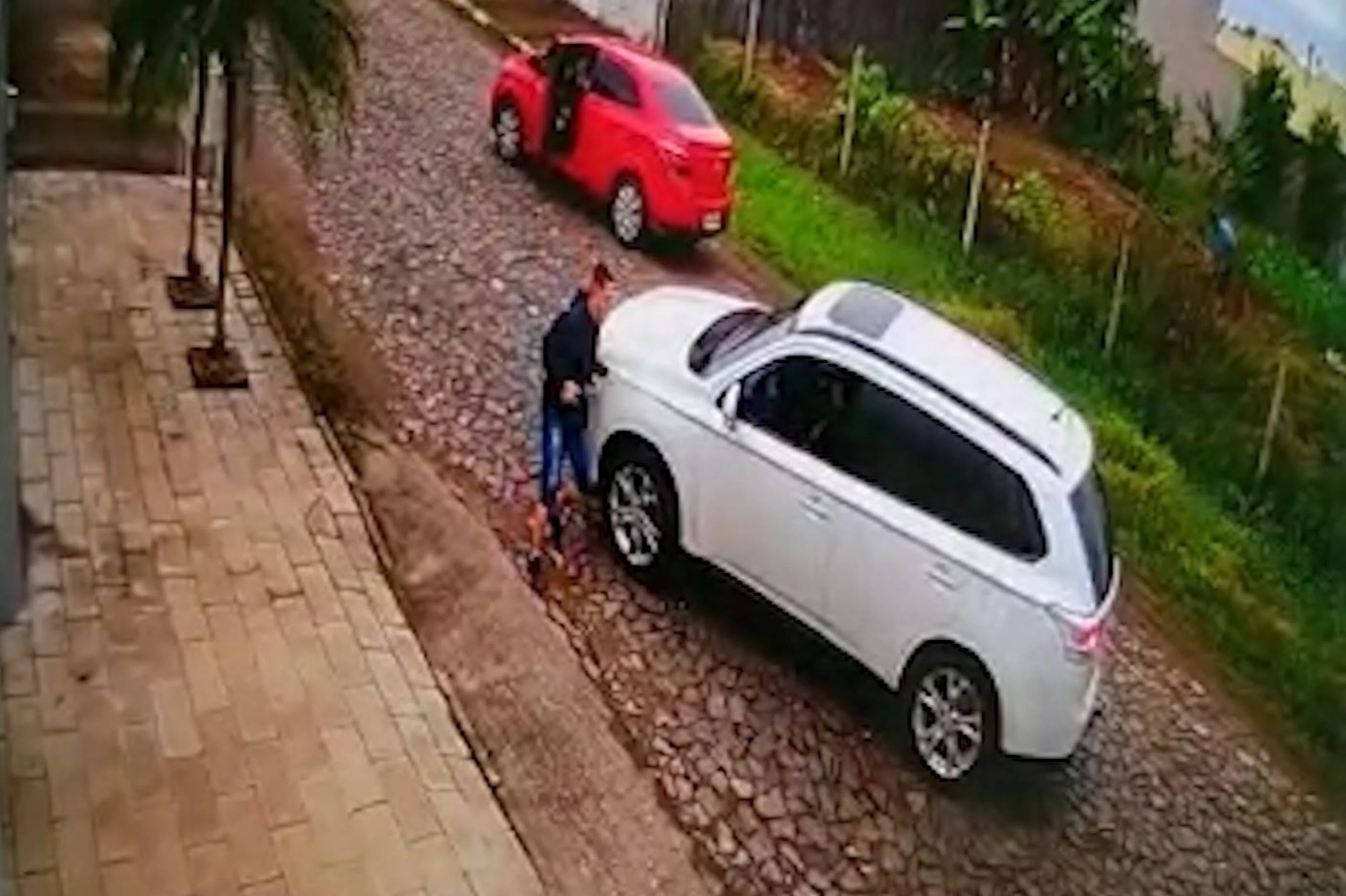 Polícia Civil/Reprodução