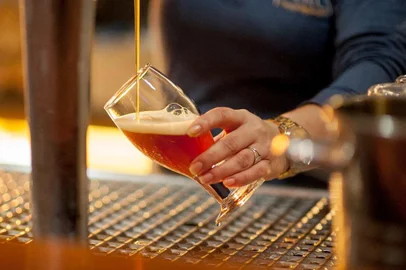 Cervejaria Farol, Cervejaria, Destemperados