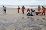 Manchas de óleo na praia da Avenida Soares Lopes, em Ilhéus, na Bahia, são limpas por equipes da Marinha do Brasil e voluntários.