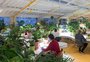 Empresa do Vale do Sinos abre filial em Portugal no meio de plantas e com área de ioga