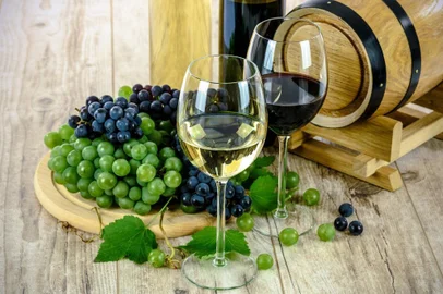 Blue Tree Towers, Caxias do Sul, Pioneiro, Destemperados, Descomplicando o vinho