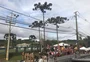 AO VIVO: juiz autoriza soltura de Lula