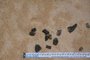 Marinha informa que foram encontrados e recolhidos pequenos fragmentos de óleo na praia de Guriri, no Município de São Mateus-ES.