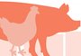 Números das exportações confirmam demanda da China por carne do Brasil