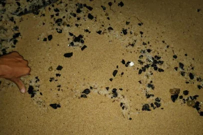 Óleo atinge região da Reserva Biológica de Comboios, no Espírito Santo.