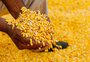 Negociação de commodities agropecuárias na bolsa de valores perde fôlego