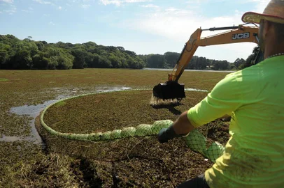  CAXIAS DO SUL, RS, BRASIL, 19/11/2019Morador reclama de poças d´água que formam criadouro para mosquistos, de árvores cortadas e do acúmulo de algas no complexo.(Lucas Amorelli/Agência RBS)