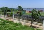 Inter projeta para próxima semana a volta aos treinos no CT do Parque Gigante