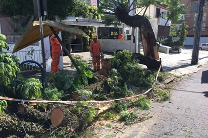 Caminhão bate em fios, que derrubam galhos em cima de parada de ônibus e ferem mulher de 74 anos. idosa. Rua Anita Garibaldi. Porto Alegre