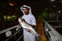 Bader bin Mubarak, chief executive of Fish Farm, holds a salmon at his facility in Dubai on October 15, 2019. - From a control room in the middle of Dubais desert, Norways sunrises and sunsets and the cool currents of the Atlantic are recreated for the benefit of thousands of salmon raised in tanks despite searing conditions outside. Dubai is no stranger to ambitious projects, with a no-limits approach that has seen a palm-shaped island built off its coast, and a full-scale ski slope created inside a shopping mall. (Photo by GIUSEPPE CACACE / AFP)Editoria: FINLocal: DubaiIndexador: GIUSEPPE CACACESecao: agricultureFonte: AFPFotógrafo: STF