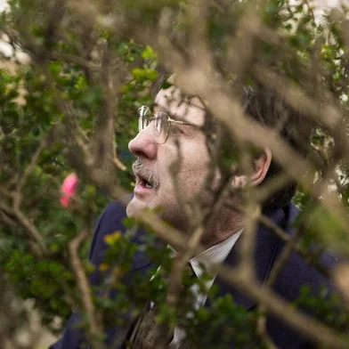 **Exclusivo, Sinal Aberto, Flávia Requião. Júlio (Antonio Calloni) passa mal em Éramos Seis.