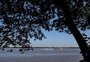 Catamarã retoma oferta de horários aos sábados