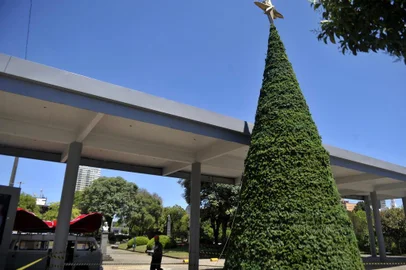  CAXIAS DO SUL, RS, BRASIL, 02/12/2019Decoração de natal na prefeitura começa hoje e deve colocar o laço no prédio amanhã.(Lucas Amorelli/Agência RBS)
