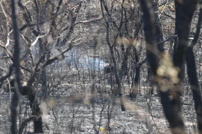  Após o Corpo de Bombeiros realizar um sobrevoo, na tarde desta terça-feira (17), sobre a Área de Proteção Ambiental Municipal Alter do Chão, o governo do Estado considerou extintos os três principais focos de incêndio registrados na região de Santarém. Foto: JADER PAES / AG. PARÁIndexador: JADER 338