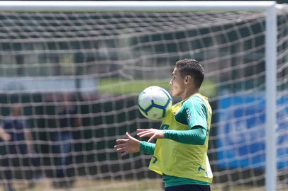 Meio-campo do Palmeiras Raphael Veiga