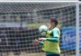 O valor que o Palmeiras pediu para vender Raphael Veiga para o Grêmio