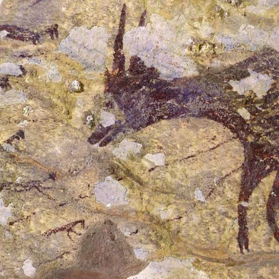  This handout photography releases by Griffith University on December 11, 2019, shows cave art inside Bulu Sipong 4, Sulawesi, Indonesia. - A hunting scene painted 44,000 years ago, the oldest known to date, whose half-human, half-animal representations suggest a successful artistic culture, or even the beginnings of a religion, was discovered in a prehistoric cave in Indonesia, has been revealed in a study on December 11. (Photo by RATNO SARDI / GRIFFITH UNIVERSITY / AFP) / RESTRICTED TO EDITORIAL USE - MANDATORY CREDIT AFP PHOTO/RATNO SARDI/GRIFFITH UNIVERSITY  - NO MARKETING - NO ADVERTISING CAMPAIGNS - DISTRIBUTED AS A SERVICE TO CLIENTSEditoria: ACELocal: NORTH SULAWESIIndexador: RATNO SARDISecao: human scienceFonte: GRIFFITH UNIVERSITYFotógrafo: STR<!-- NICAID(14355717) -->