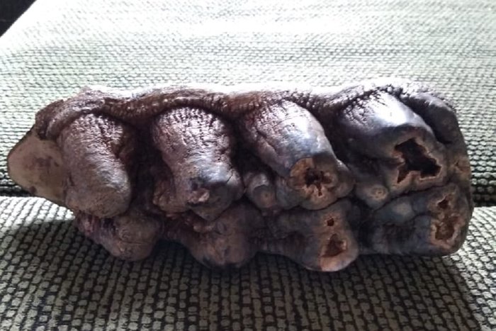 Rosineide Schmitt / Arquivo Pessoal