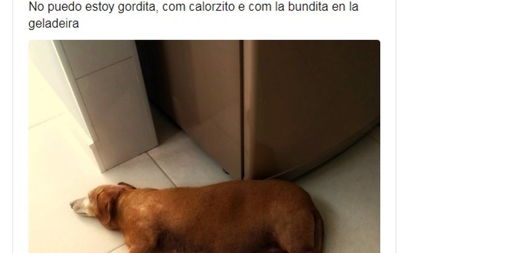 So Quem Viveu Sabe 10 Memes Que Invadiram Nossas Redes
