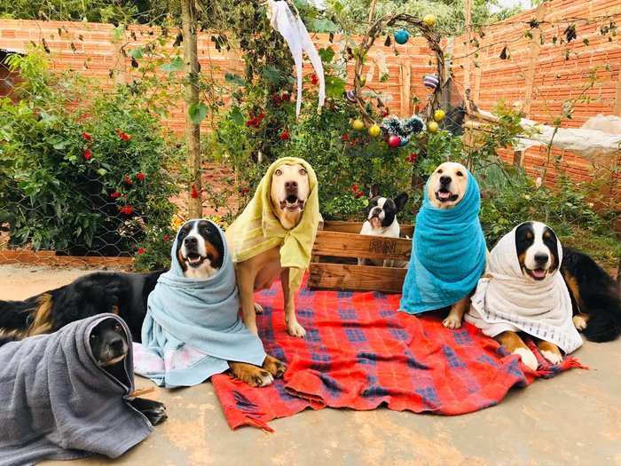 Foto tirada do ano passado, que fez sucesso nas redes sociais
