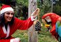VÍDEO: bichos do zoológico de Gramado recebem presentes de Natal
