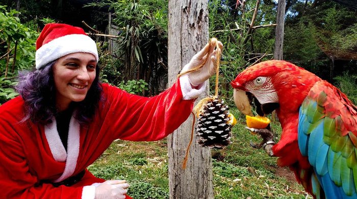 Divulgação / GramadoZoo