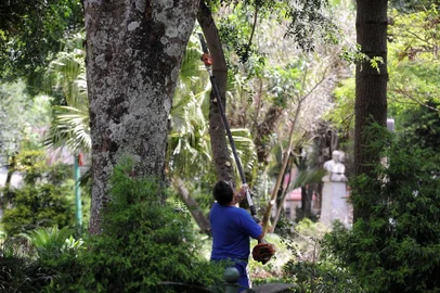  CAXIAS DO SUL, RS, BRASIL, 26/12/2019 - Praça Dante Alighieri recebe poda, corte de grama, e chafariz é ativado. (Marcelo Casagrande/Agência RBS)