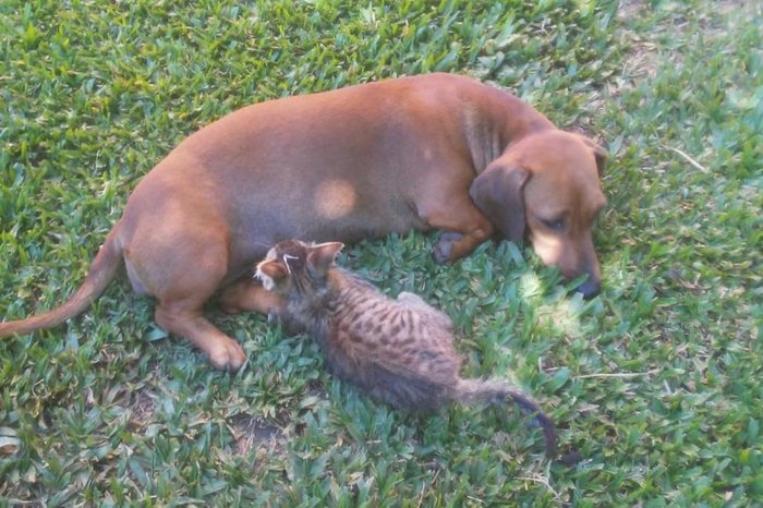 Flávia Casarotto / Arquivo Pessoal