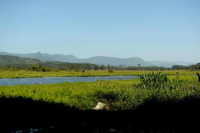  CAXIAS DO SUL, RS,  BRASIL, 09/12/2019A Área de Preservação Ambiental (APA) Itapeva, em Torres, completou 20 anos no dia 7 de dezembro, como importante unidade de conservação e biodiversidade em fauna e flora, incluindo espécies protegidas como as Bromélias e, entre os animais, o Tuco-tuco.(Lucas Amorelli/Agência RBS)