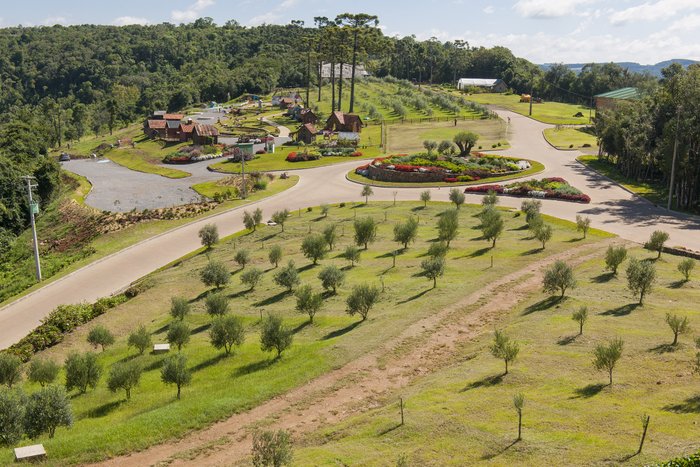 Cristiano Carniel / Divulgação Olivas de Gramado