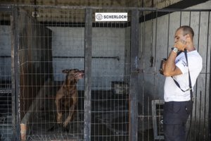 André ¿?vila / Agência RBS