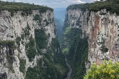  Foto para coluna de Cláudia Tajes em GaúchaZH para 11/01/2020<!-- NICAID(14383510) -->