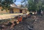 Obra de revitalização de área do Cais Mauá chega à metade